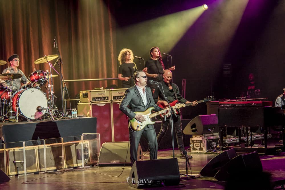 Joe Bonamassa Rock At Night